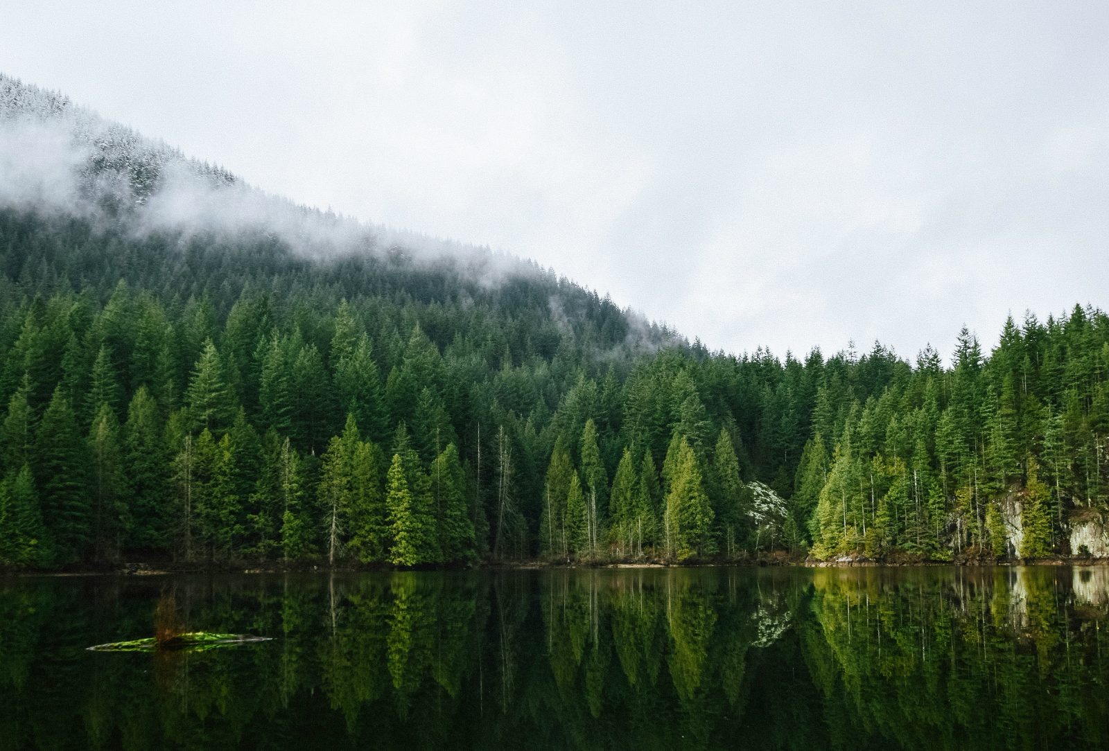 Forest lake in British Columbia